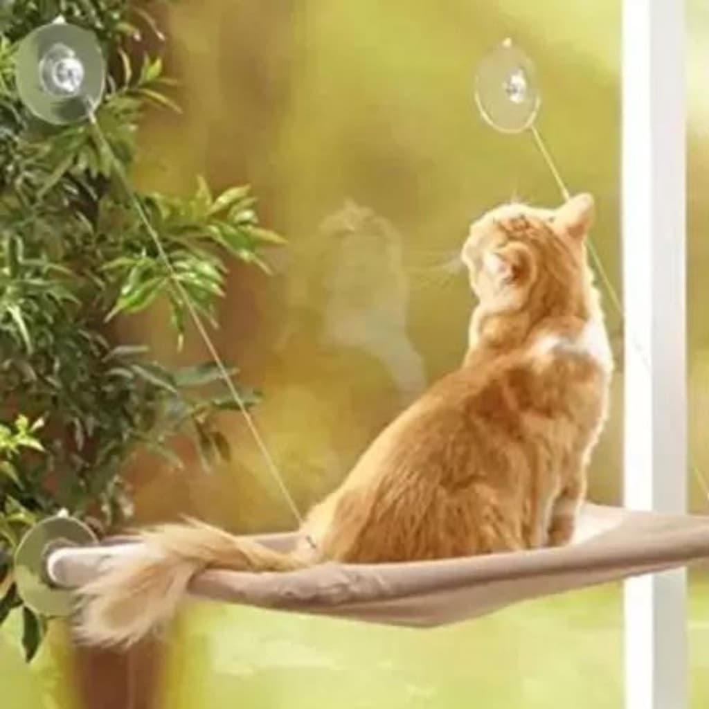 Cama Suspensa de Janela para Gato Pet Caminha Rede para Gatos com Ventosa até 20kg Grande