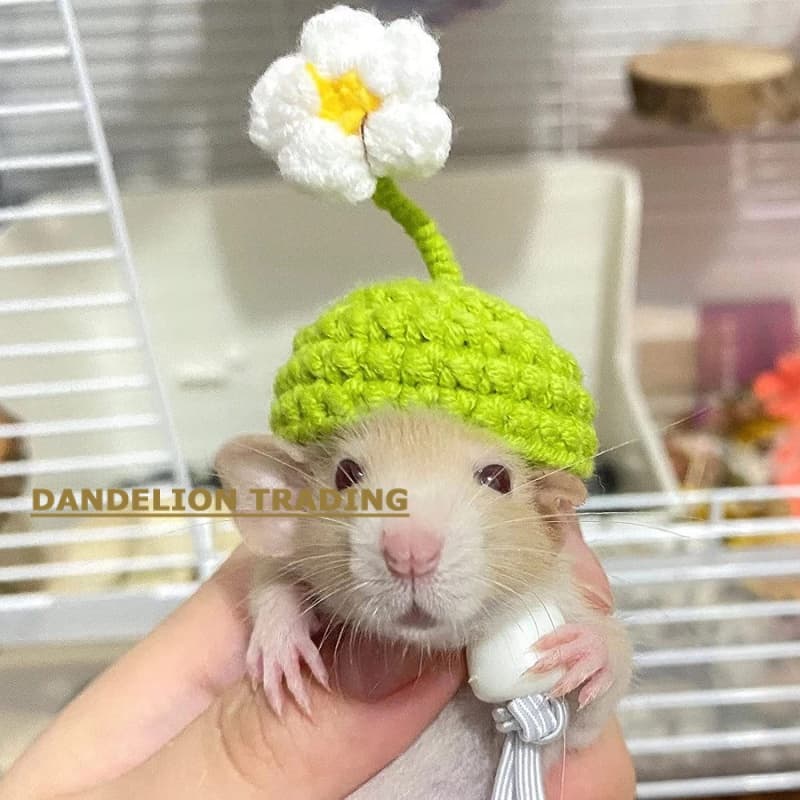 [DANDELION] Chapéu de Hamster Chapéu de papagaio Chapéu de malha para animais de estimação Chapéu de cobra de lagarto Ch