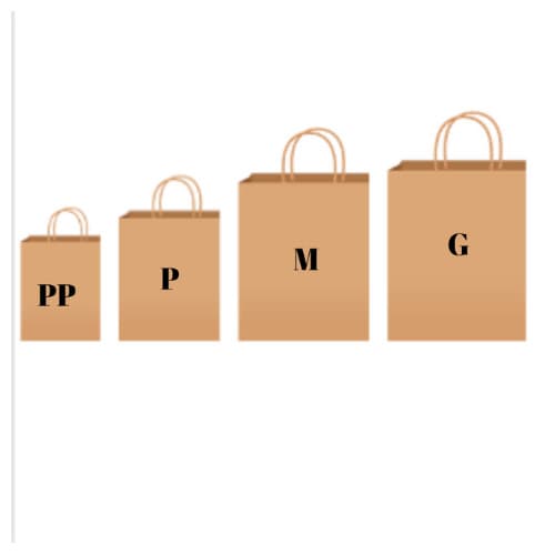 Sacolas Papel Kraft Lisa Com Alça Resistente Tamanho PP ao XG 10 Unidades