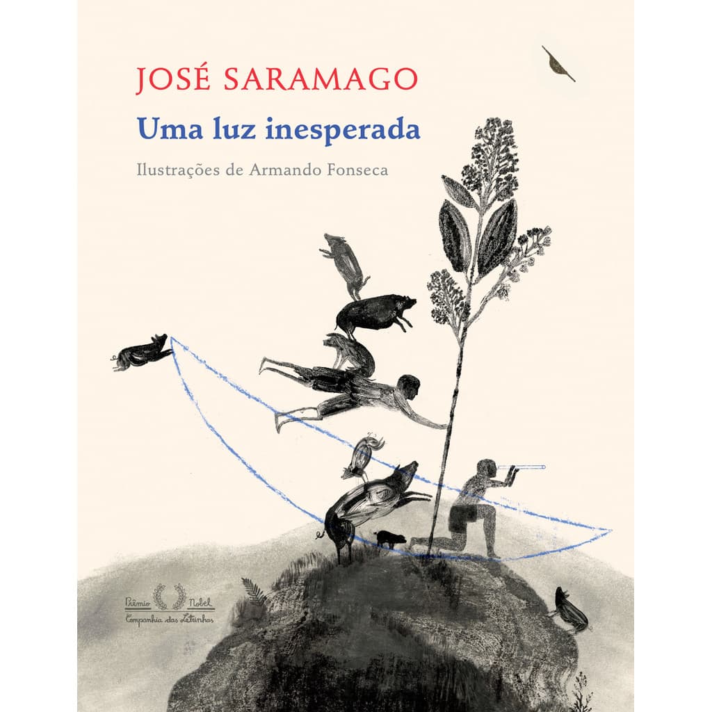 Uma luz inesperada - Companhia das Letrinhas