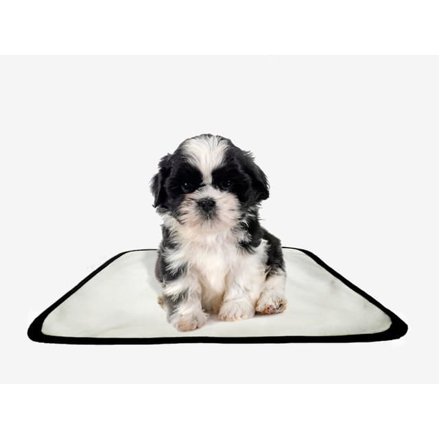 Tapete pet lavável educador higiênico 1 un PP 40x50cm