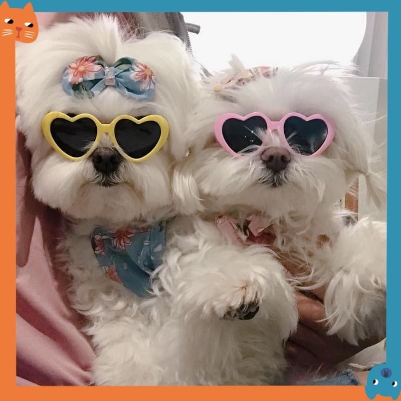 Óculos De Sol Em Forma De Coração De Gato Acessórios Para Animais De Estimação Fotográficos