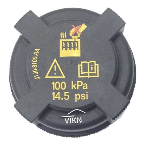 Tampa Reservatório De Água Ford Dg9z/8100/a/a Original