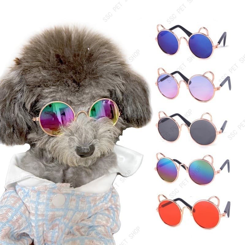 Óculos De Sol Para Gatos Cão Teddy  Personalidade