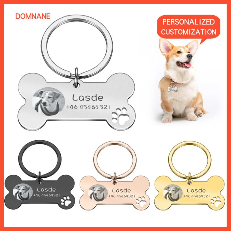 Etiqueta De Identificação Para Animais De Estimação Gravada Gratuita , Personalizada Com Nome Coleira De Cachorro E Gato