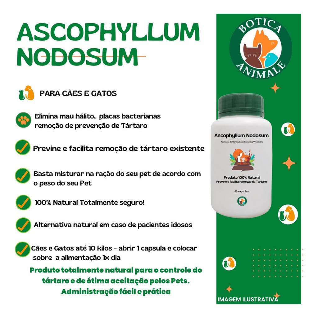 Ascophyllum Previne E Ajuda Remocao Tártaro Pet 60 Caps