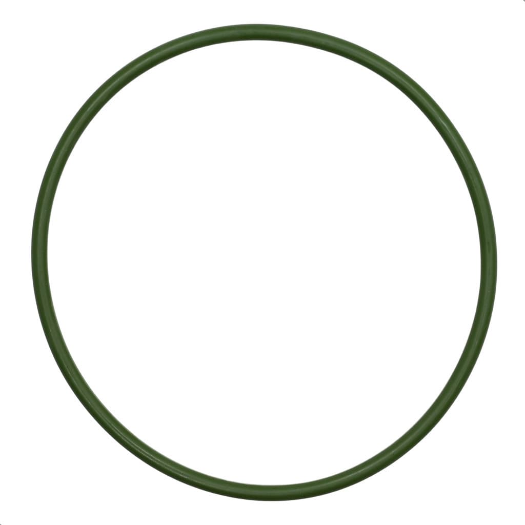 Guarnição Anel Bomba Combustivel Sentra Tiida Livina 16v Flex