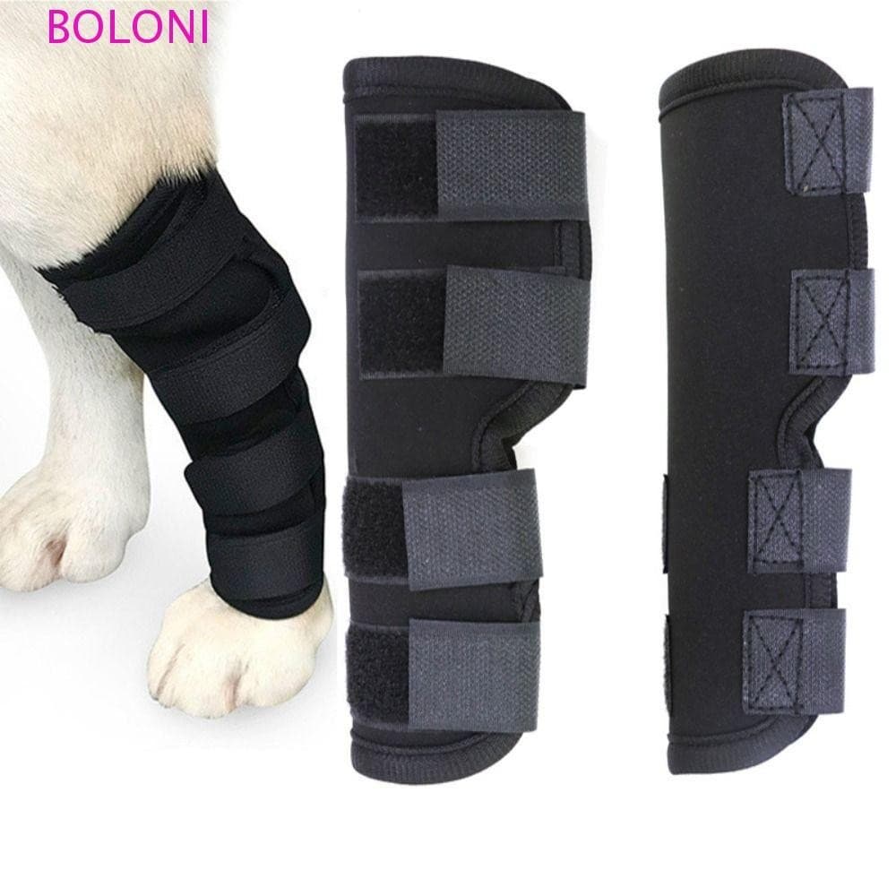 BOLONI Bandagens Para Cães , Joelheiras Anti-Lamber Animais De Estimação , Cinta De Joelho Fixa Auxiliar Suporte De Pern