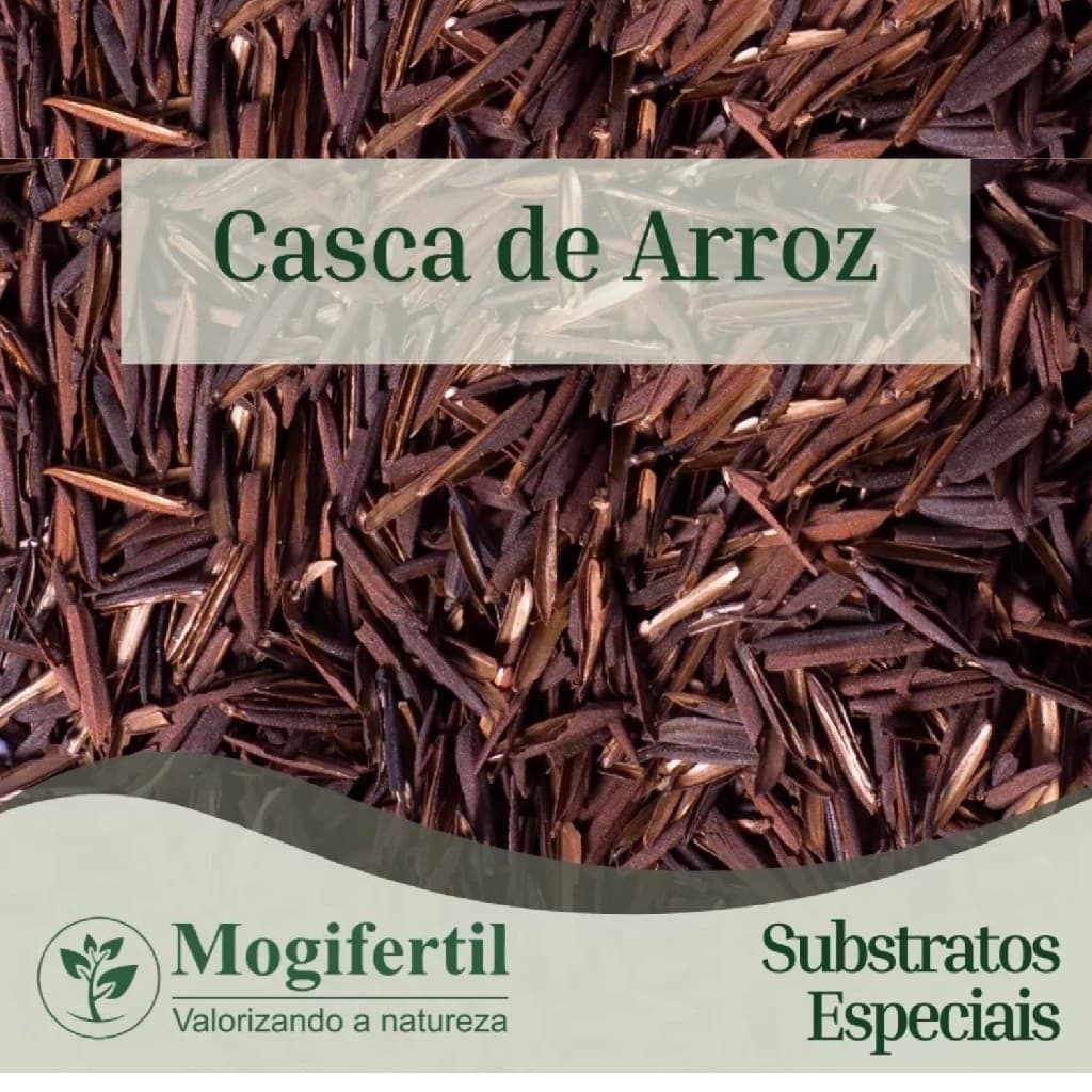 CASCA DE ARROZ CARBONIZADA