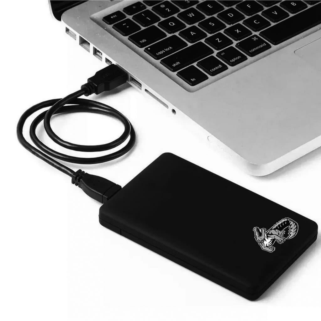 HD Externo Disco Rígido 1TB/500GB Portatil USB 3.0 Slim Notebook PC PS4 PS5 Xbox