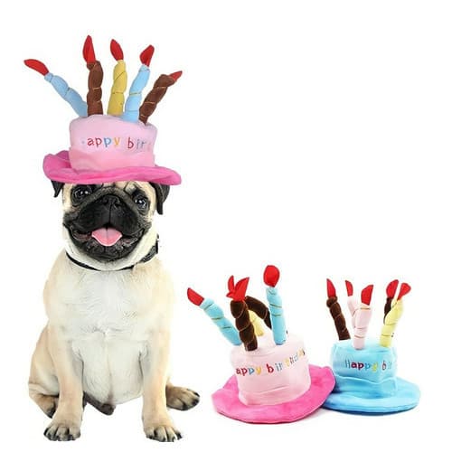 Chapéu Festa Aniversário Pet Cachorro Gato Velinhas Promoção Fantasia Pet chapeuzinho cães Boné Luxo