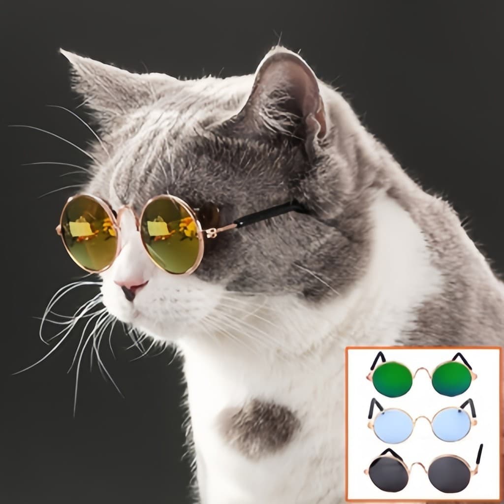 5 Kit   ÓCulos De Sol Para Pets Pequenos/CãEs E Gatos/ProteçãO Universal Para Os Olhos/Para Fotos