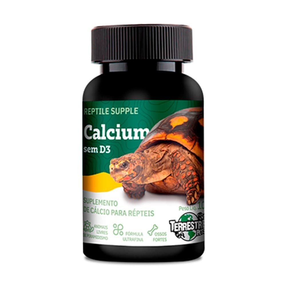 Cálcio Sem D3 Terrestre Pets Para Répteis 100g