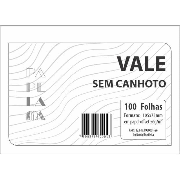 VALE S/CANHOTO C/100FLS - C/20 BLOCOS