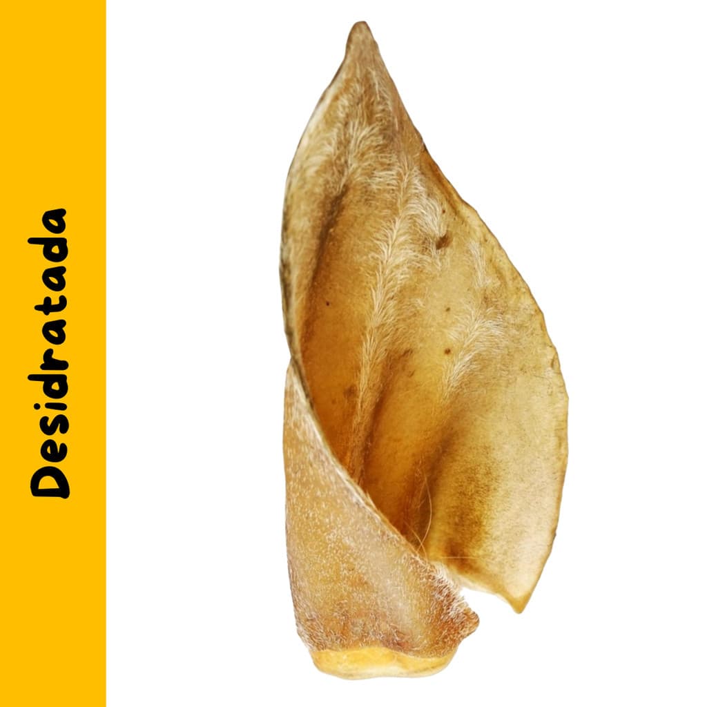 Orelha Bovina Desidratada Petisco Natural Cão Cachorro PET Osso