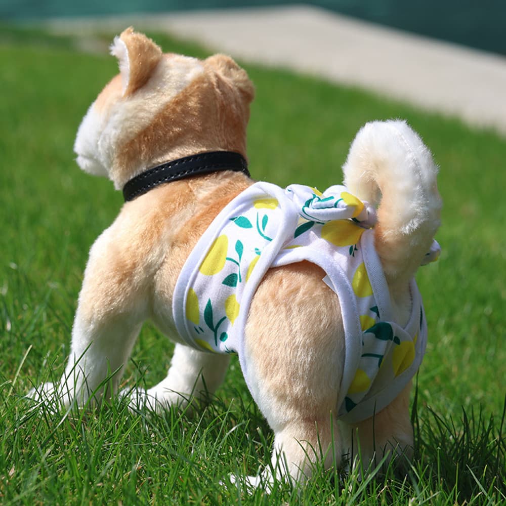 Pantos fisiológicos de animais Bowknot Princess Style Cute Breathable Skin Friendly Female Dog Diaper