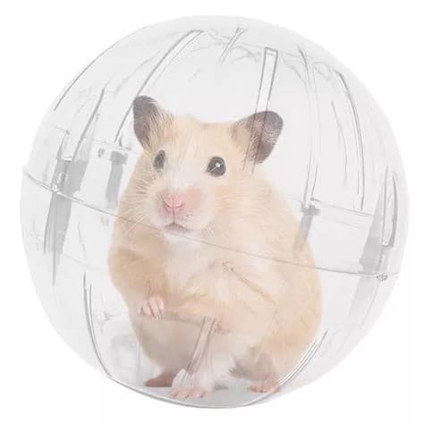 Bola para Hamster Brinquedo Pet Exercício Globo 11,5cm