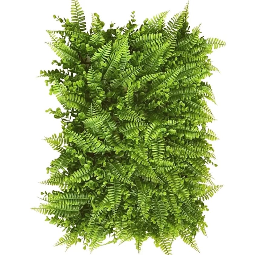 Placa De Samambaia Eucalipto 40 x 60cm Muro Inglês Jardim Vertical