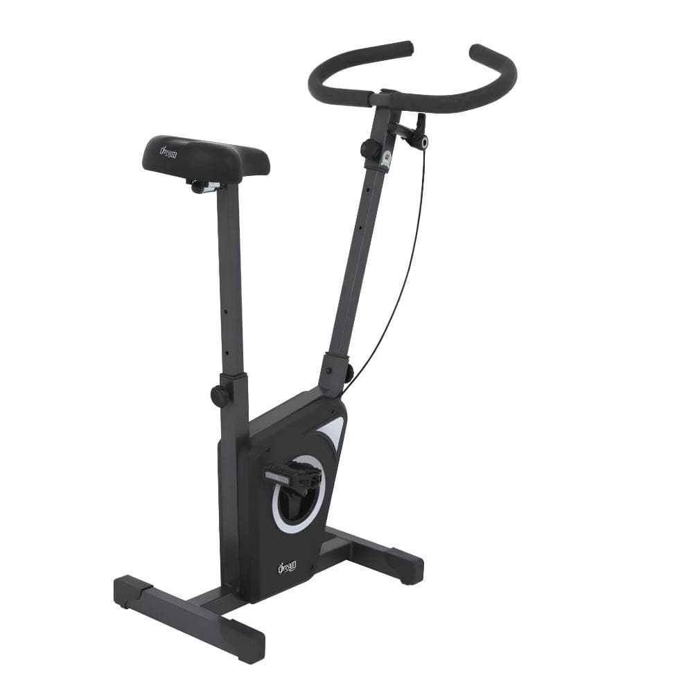 Bicicleta Ergométrica Vertical Dream Fitness EX 450 Uso Residencial Cor Chumbo