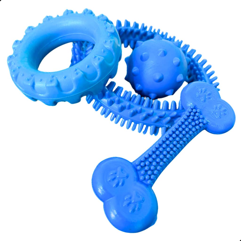 Kit Brinquedos para Cachorro Mordedor de Borracha Maciço Resistente Anêmona, Pneu, Bola e Osso