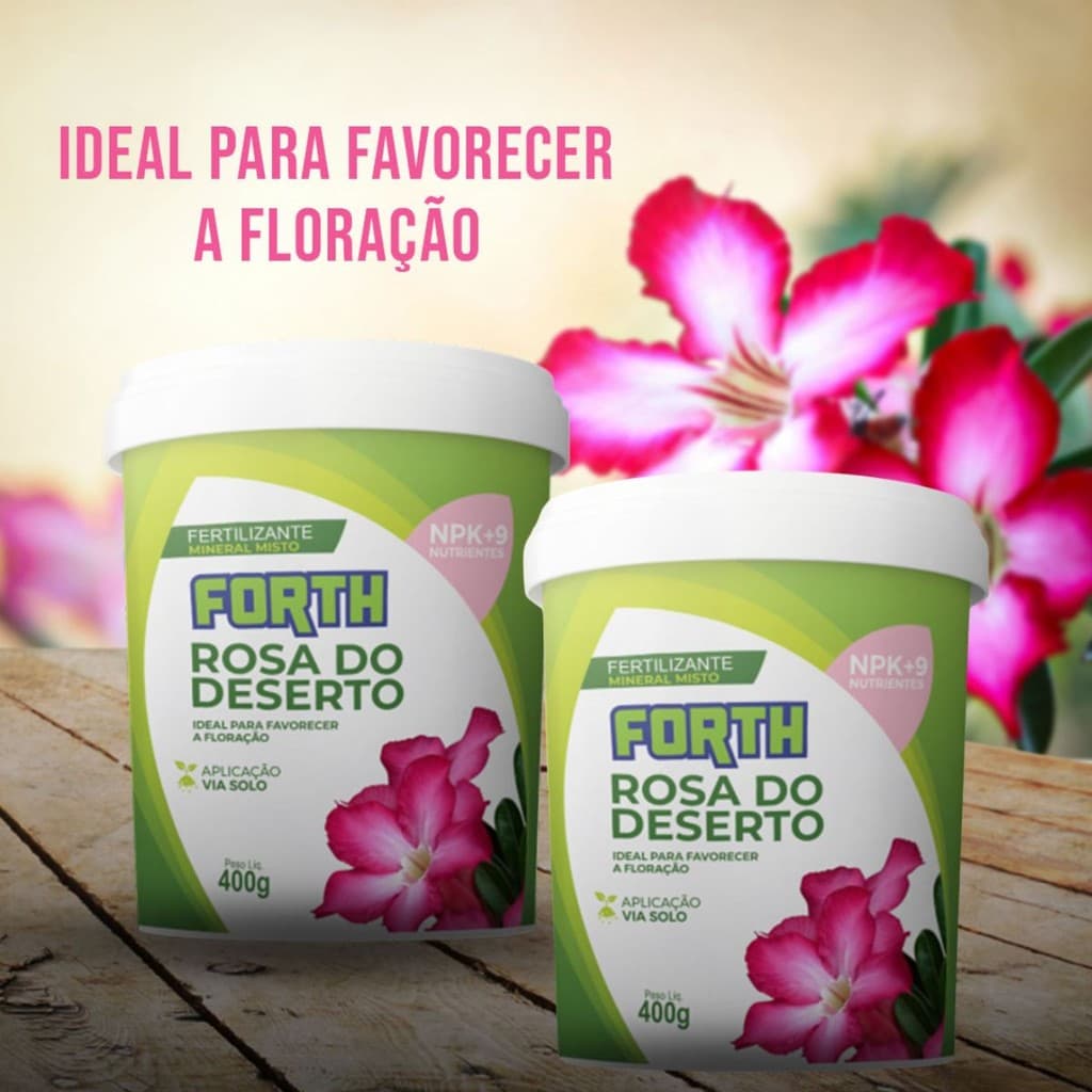02 Fertilizante Adubo Rosa do Deserto 400g Forth