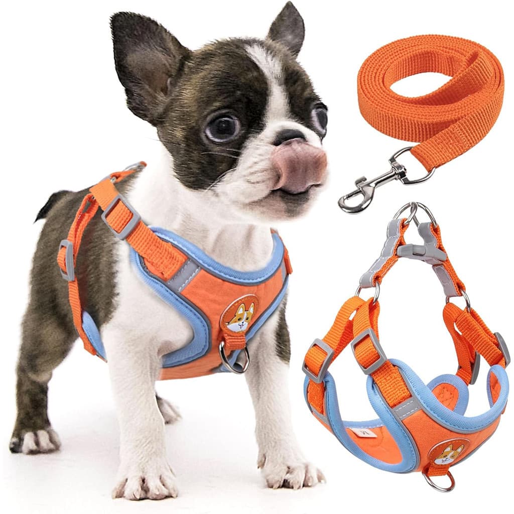 Coleira Peitoral coleira para cachorro com guia para pet pequenos e médios colete confortável