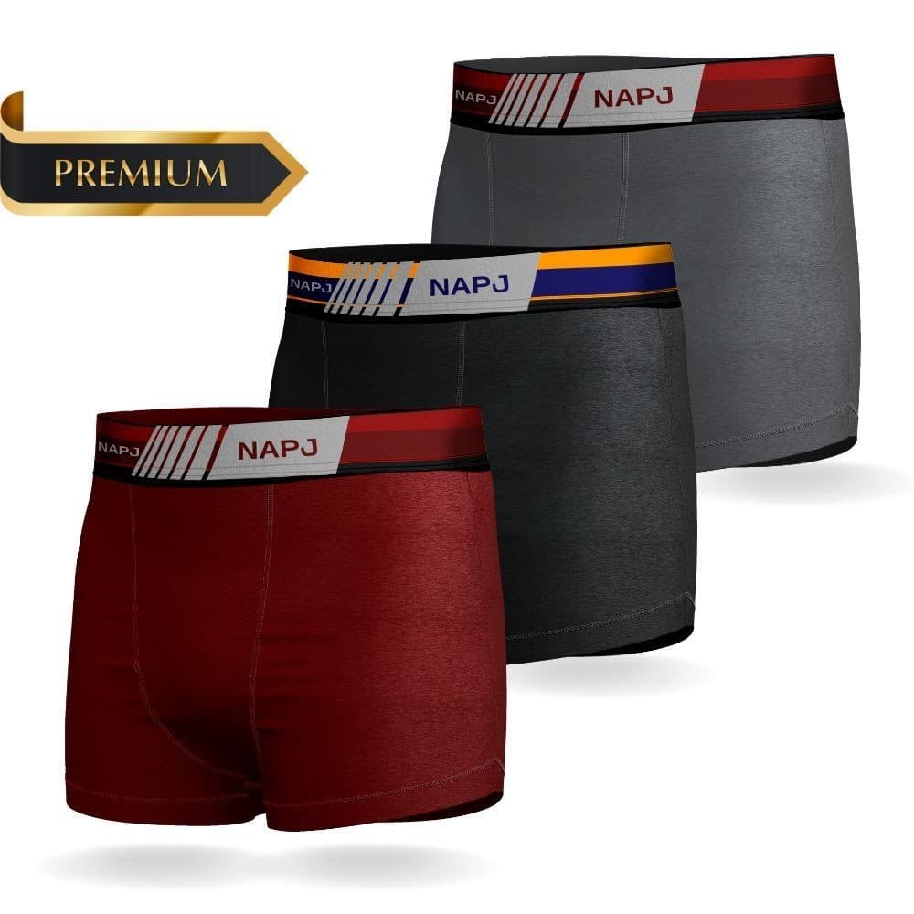 Kit 10 Cuecas Masculinas Box Microfibra Adulto Napj
