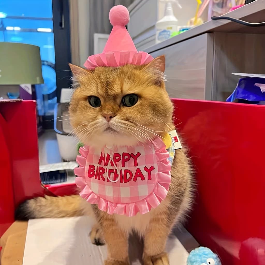 Conjunto de roupa de aniversário de estimação para gatos e cães pequenos-estilo cartoon e poliéster, inclui chapéu e toa