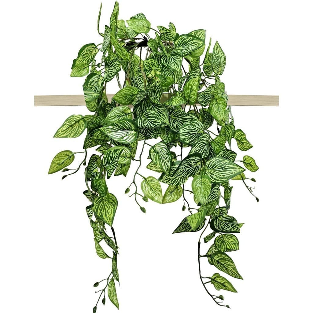 Jiboia Afortunada Artificial Pendente Com Vaso De Espelho