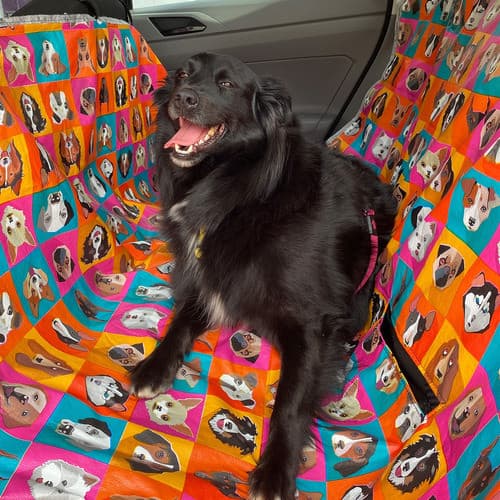 Capa Protetora Pet Banco Traseiro Impermeável 4 Alças Cachorro e Gato Estampada