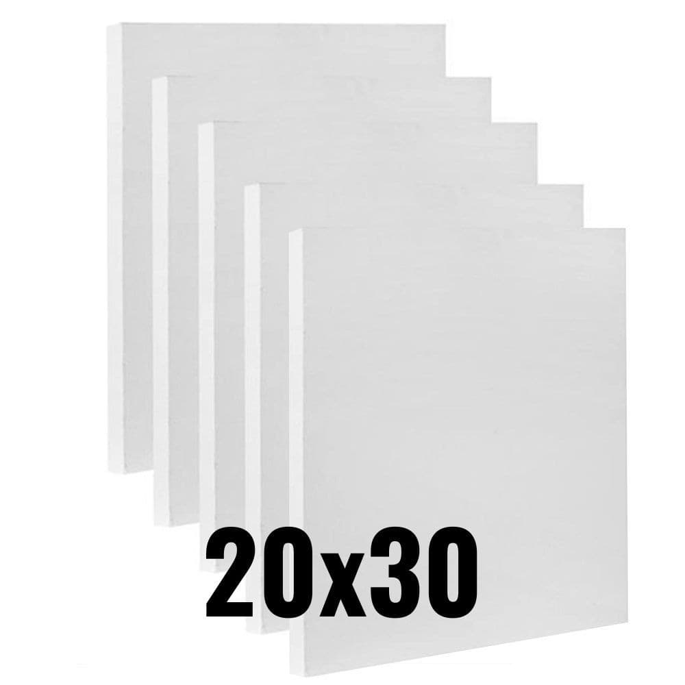 Kit Com 05 Telas Para Pintura 20x30cm Algodão  - Uso Profissional e Artístico