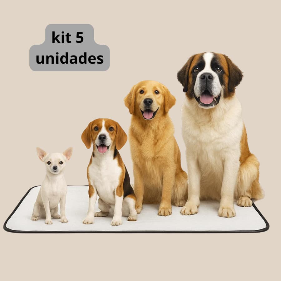 Tapetes higiênicos Absorvente lavável reutilizável Kits 5 unidades para pet educador anti vazamento