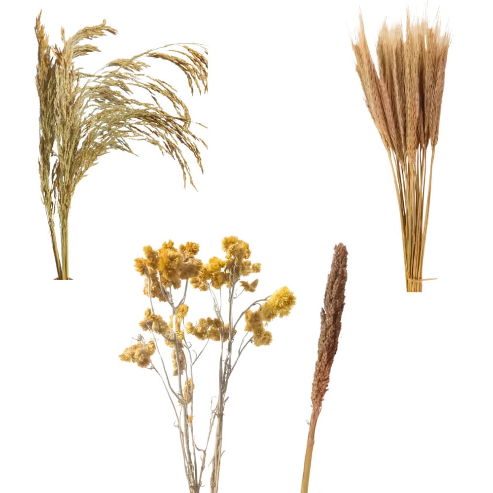 Kit 4 Sprays Naturais p/ Terrário Hamster e Roedores – Trigo Arroz Sorgo Marcela (Enriquecimento)