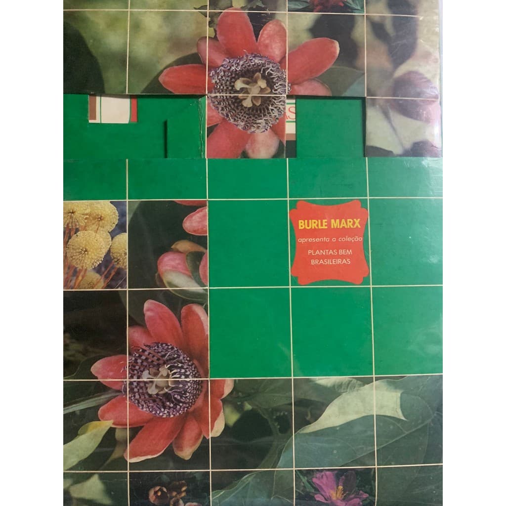 Box Plantas Bem Brasileiras Burle Marx Plantas Dentro de Casa 20 fascículos de Jorge Adib 6605135 - Mem