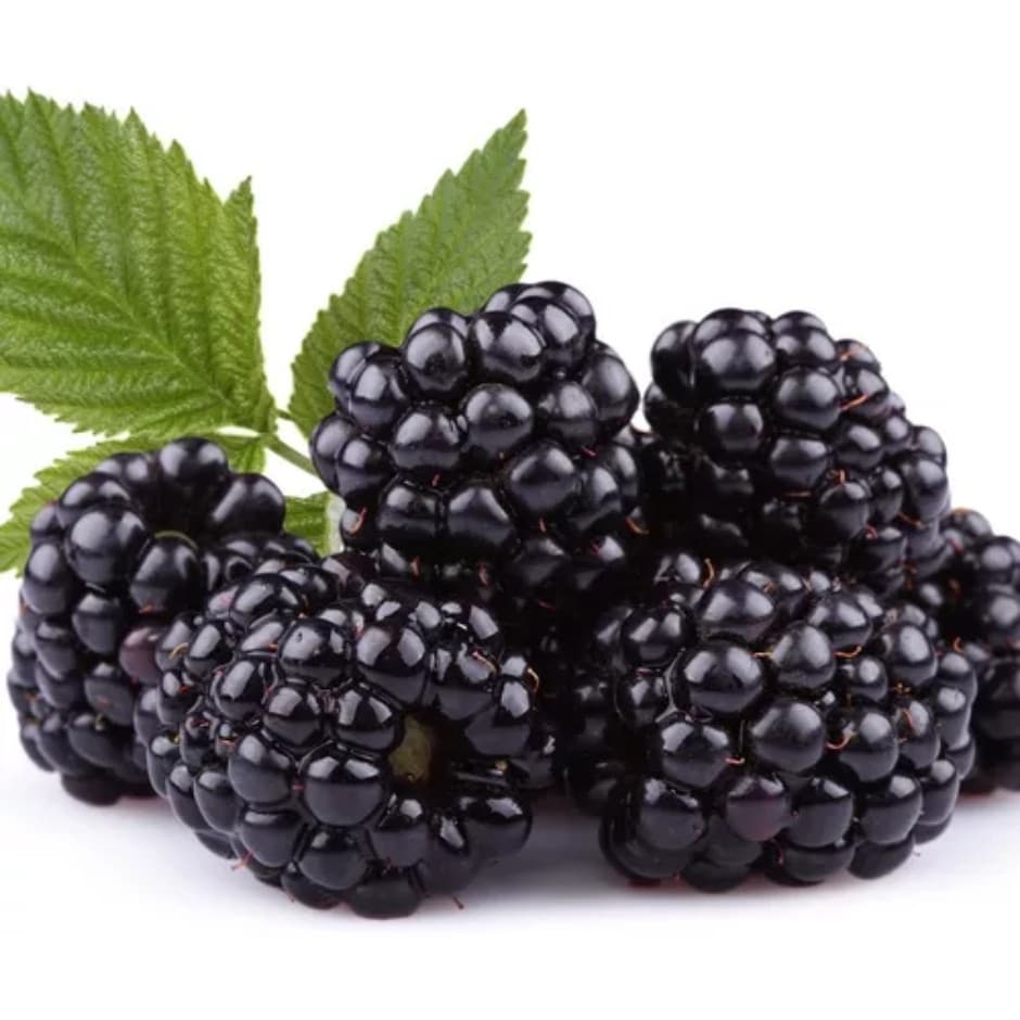 Sementes Amora Gigante Maior Fruto P/ Mudas +Manual