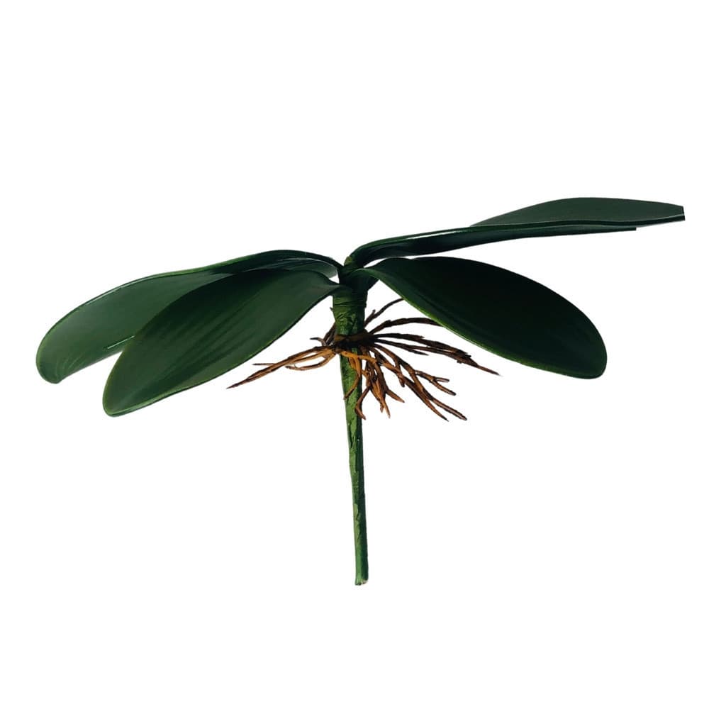 Folha De Orquidea Raizes Arranjos Artificiais Lindas Flores Grande