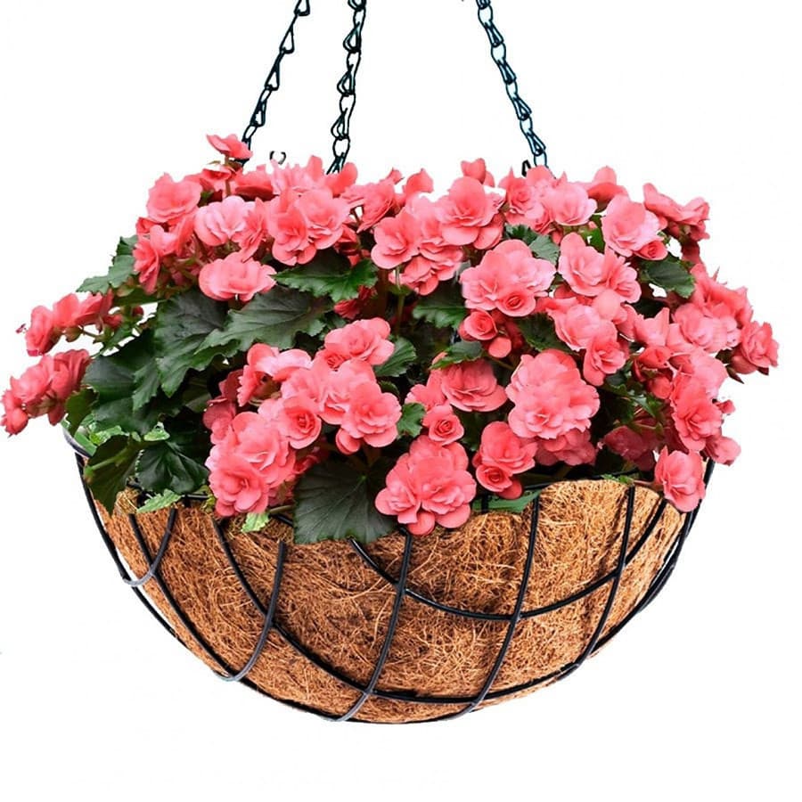 Vaso De Pendurar Hagra 40cm Pendente Ferro Fibra Coco