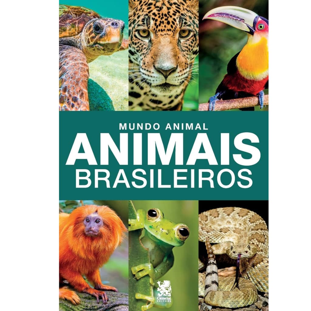 Livro Mundo Animal: Animais Brasileiros (novo)