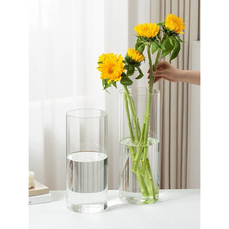 Vasos Acrílico Arranjos de Flores Plantas Para Decoração Sala Casa