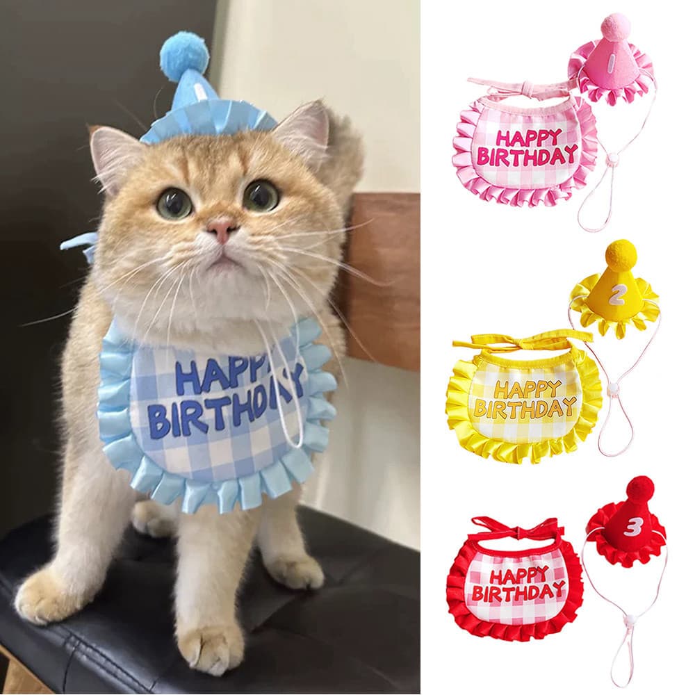 Gato Aniversário Scarf Hat Set Dog Birthday Party Suprimentos Para Festas De Cute Puppy Decor Animais De Estimação