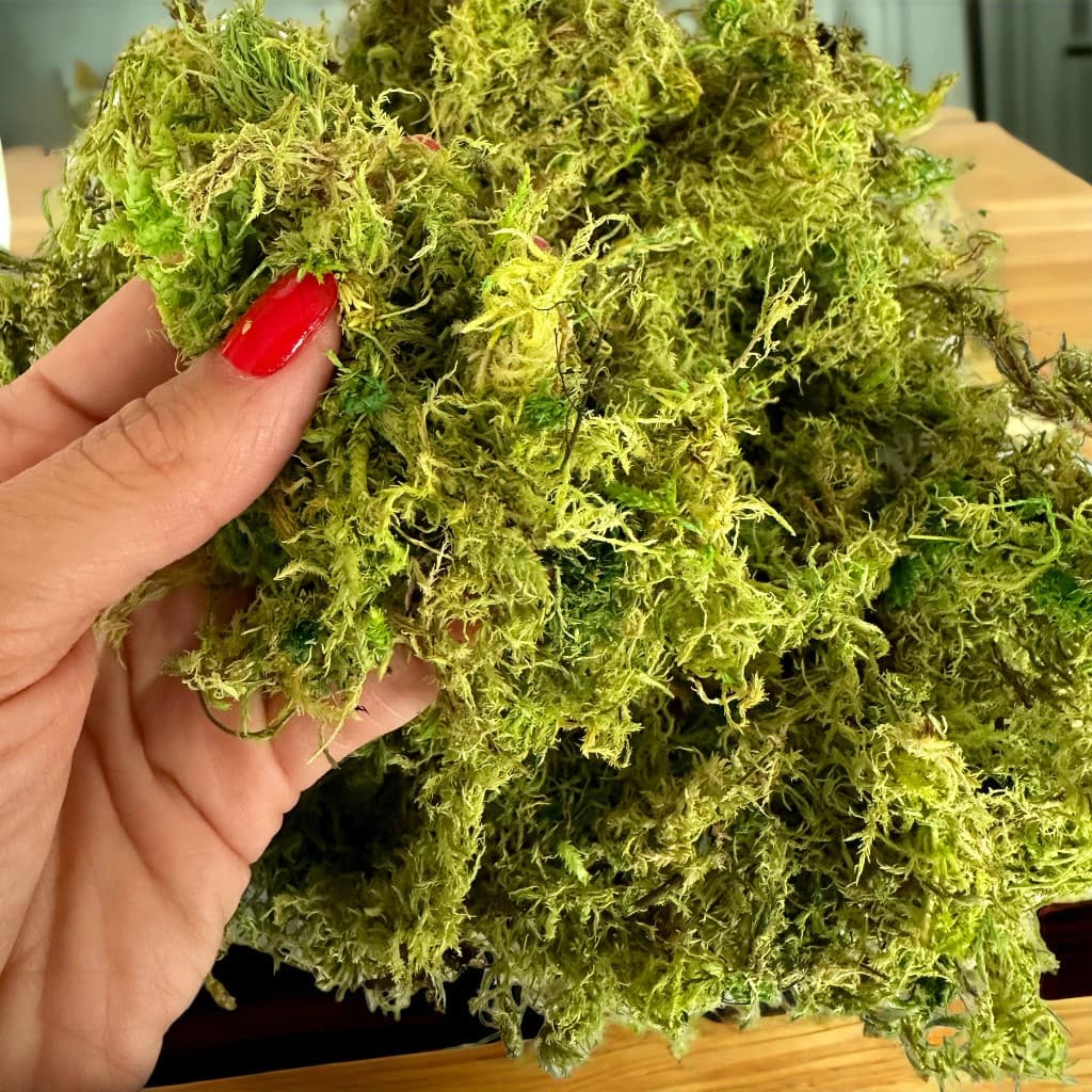 KIT 3 Pacotes de Musgo para Artesanato e Decoração de Vasos Flores Artificiais
