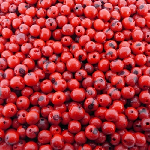 Açaí Semente Natural - Vermelho- 8mm - 1000pçs - Menor Preço