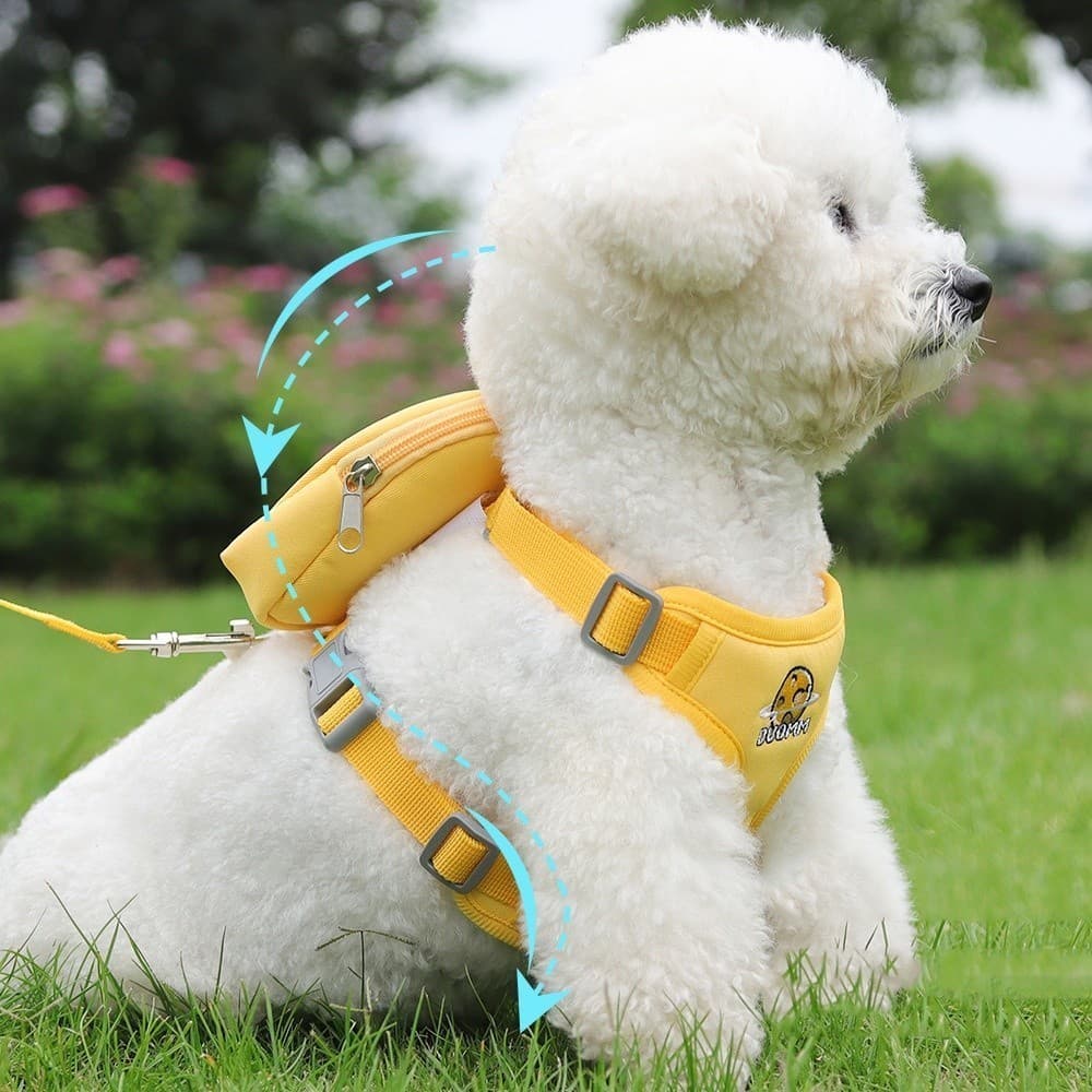 Peitoral Coleira Com Guia e Bolsa Removível Para Cachorro Pet Cães Pequenos E Médios Gato De Viagem