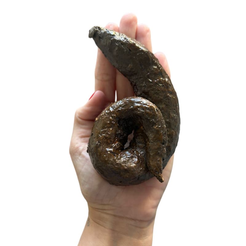 Cocô Fezes Falsa Brincadeira Pegadinha Trolagem Flôr do Pantano Risadas Cocô de Mentira