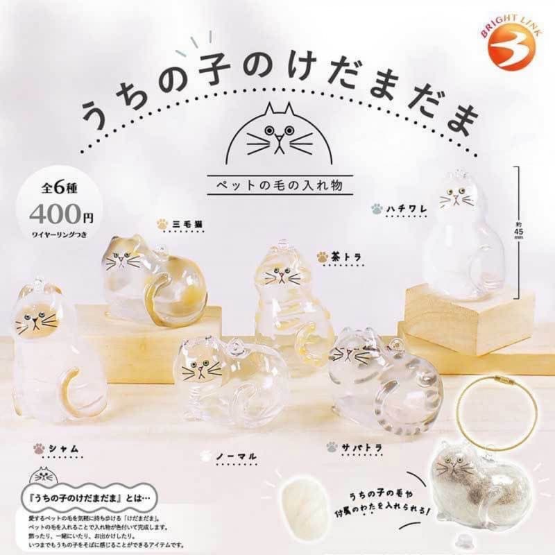 Caixa De Armazenamento De Pêlos De Gato Transparente Japonesa Genuína BRIGHT LINK , Pingente , Ovo Torcido , Cápsula