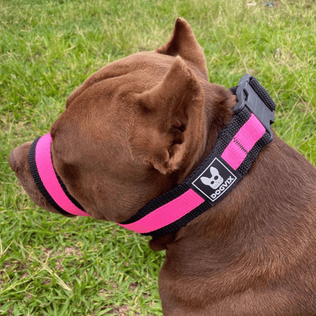 Nova Focinheira Ajustável E Confortável Para Cachorro Salu Pet Original