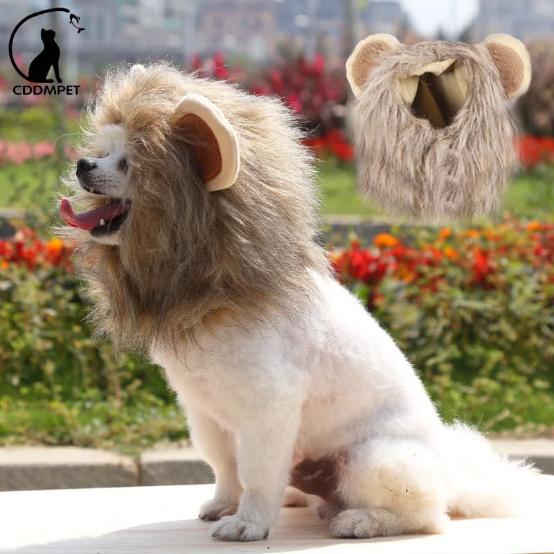 Juba De Leão Para Gato Cachorro Pequeno Fantasia De Halloween Peruca Chapéu Cosplay