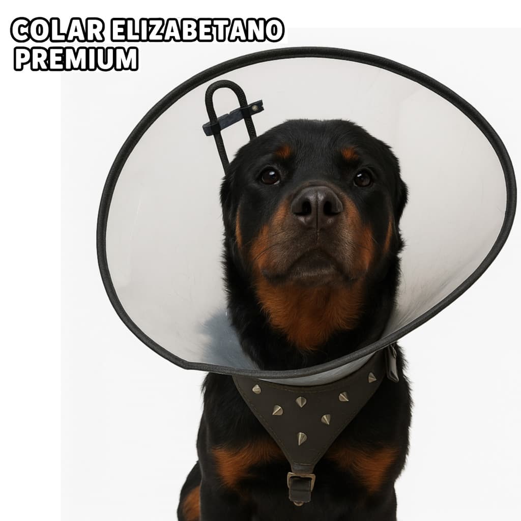 Colar Elizabetano Premium para Cachorro Pós Cirúrgico Tamanhos 01 a 12