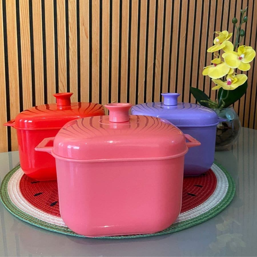 Jogo 2 Panelas Caçarola Para Microondas Freezer 1,5 Litros Plástico Cores