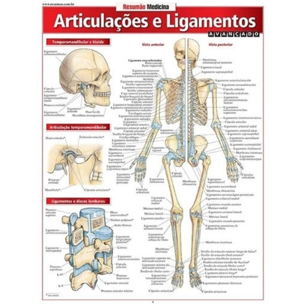 Livro - Resumao - Articulacao E Ligamentos - Avancado